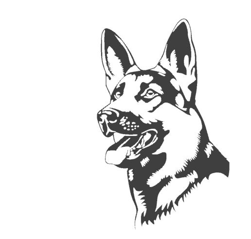 lana.jpg pastor alemán