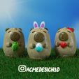 4.jpg huevo de pascua capybara carpincho TORTUGA