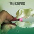 multirex_clothespeg1.jpg multi-rex