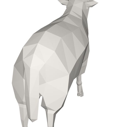 10005.jpg sheep animal