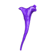Cervical_Rib_Right_07.OBJ Archivo OBJ Esqueleto de T-rex a tamaño real - Parte 10/10・Objeto para impresora 3D para descargar