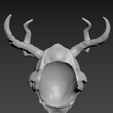 Na9Qd4A6hP0.jpg Tomb Raider - fantasy Skull Helmet