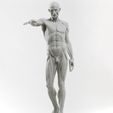 78f980df-2312-4a61-bf8e-d3d7044423a4.jpg Ecorche Houdon