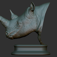 14.png Rhinoceros