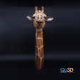 WILD-00016-Giraffe10.jpg Giraffe - 3D print model