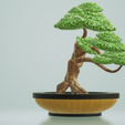 bonsai4.png Bonsai (GLB Format)