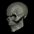 Craneorender4.jpg Skull / Skeletor Skull