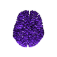 adrians_brain_without_stem.stl Mon cerveau ; scanné à partir d'une IRM