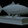 Greater-Amberjack-statue-36.png fish greater amberjack / Seriola dumerili statue detailed texture for 3d printing