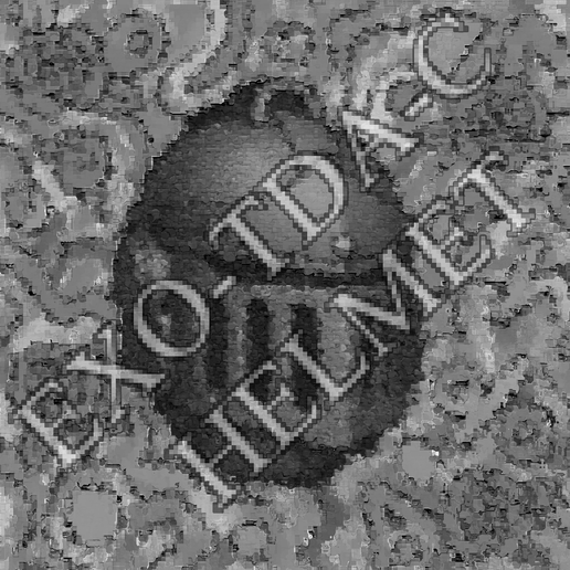 EXOTDAC/EXO1 - Helmets