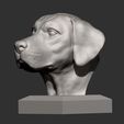 Labrador5.jpg Labrador Modèle d'impression 3D