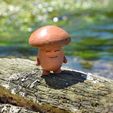 DSC_9631.jpg Animated Mushroom Child