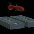 Am-bait-14-cm-oci-5mm-13mm-nalev-4.png AM bait fish 14cm hoof model / form for predator fishing