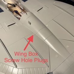Wing-Box-Screw-Hole-Plugs.jpg Wing Box Screw Hole Plugs for Freewing F-14