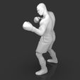 Mike_Tyson_2.677.jpg Mike Tyson Fighting