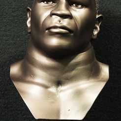 P9230022.jpg 3D file Mike Tyson bust・Design to download and 3D print, sculptinfinity