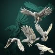 720X720-crovs.jpg Set de cuervos 5 miniaturas pre-apoyadas