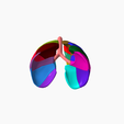 12.png Lower respiratory tract Lung 3D SEGMENTED in 19 PARTS