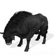 0N.jpg DOWNLOAD Buffalo 3D MODEL - 3D MODEL ANIMATED - FOR 3DS MAX - BLENDER 3 FILE - UNITY - UNREAL - CINEMA 4D - FBX - OBJ - MAYA