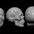 skullviews2.jpg Skull Ornamental Calavera