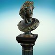 untitled.2061.jpg Bust of the Apollo Belvedere