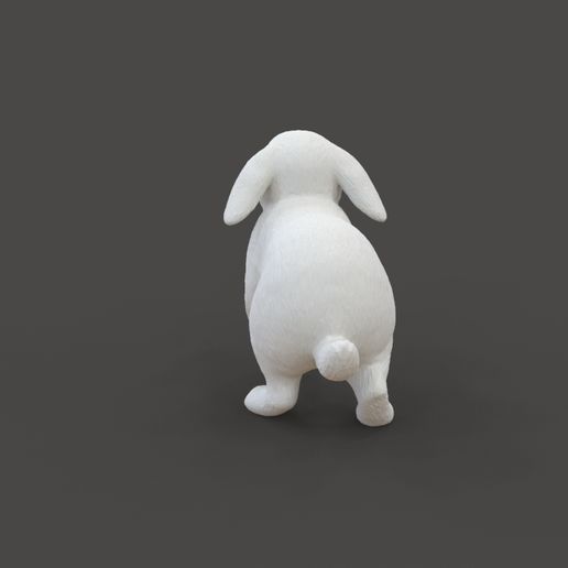 Rabbit_1.4.jpg Rabbit Walking