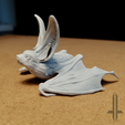 tiny4.png Tiny big eared bat