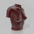 01.png Bust 10 - STL 3D Printer