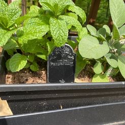IMG_6380.jpg Goth Garden stake Gravestone for Herbs