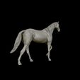 21.jpg Thoroughbred Horse model 3D print model