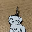 IMG_8695.jpeg Cute Maltese dog keychain