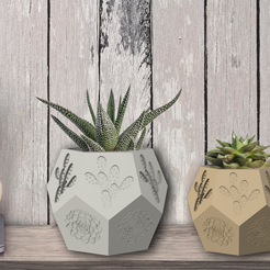 1.png Elevate Your Greenery: Introducing Succulent Pot