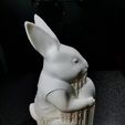 WhatsApp-Image-2026-02-02-at-11.56.40.jpeg Easter Guardian Rabbit