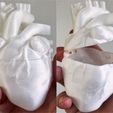 IMG_1426.JPG Heart Shaped Box