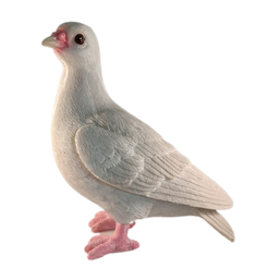 4.png pigeon dove