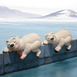 Photoroom-20250126_194713.png Sleeping Polar Bear On A Shelf  🐻‍❄️