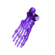 anatomy of the bones of the feet.stl Foot Bones Anatomy 3D Printable Model