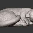 sleeping_cat5.jpg Sleeping cat 3D print model