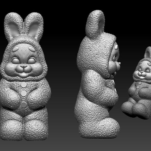 WhatsApp-Image-2023-03-04-at-7.48.16-PM.jpeg Rabbit