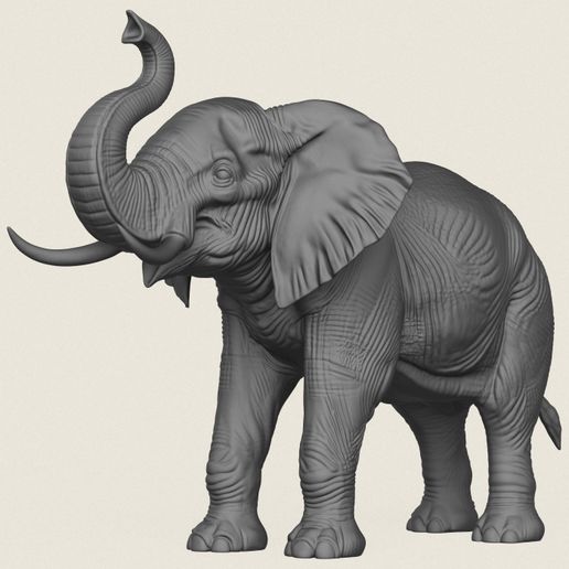 Asian Elephant Salute