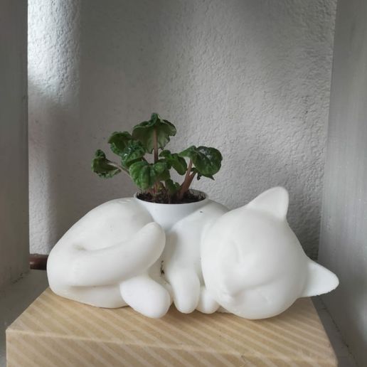 Gatito_final.jpeg OBJ file Maceta gato durmiendo / Sleeping Cat plant pot・3D printer design to download, 3spacio_3D