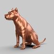 00.2.jpg American Pitbull Pose 02