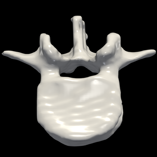 STL File 3d Model Of Thoracic Vertebrae・Template To Download And 3D ...