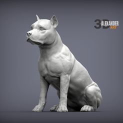 American-Staffordshire-Terrier-1.jpg 3D-Datei American Staffordshire Terrier 3D-Druck Modell・Design für den 3D-Druck zum Herunterladen