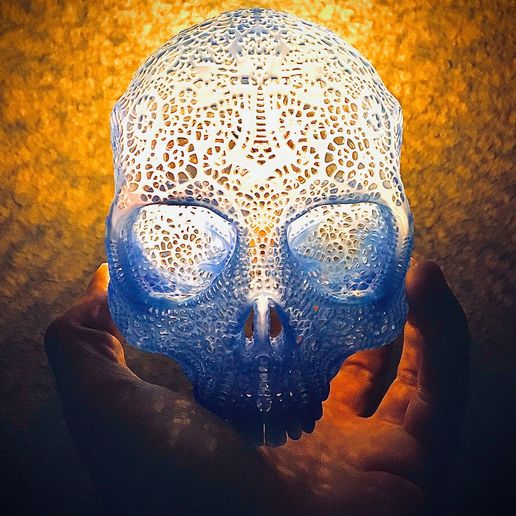 preview5.jpg Filigraner anatomischer Schädel