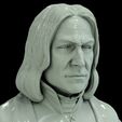 13.jpg Severus Snape 3D print model