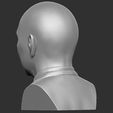 6.jpg Pitbull bust 3D printing ready stl obj formats