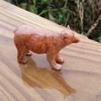 20181119_132208.jpg STL-Datei Brown Bear kostenlos・3D-druckbares Objekt zum herunterladen