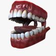 Signature_View.jpg Mouth