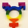 Single_trinket.jpg Transgender symbol